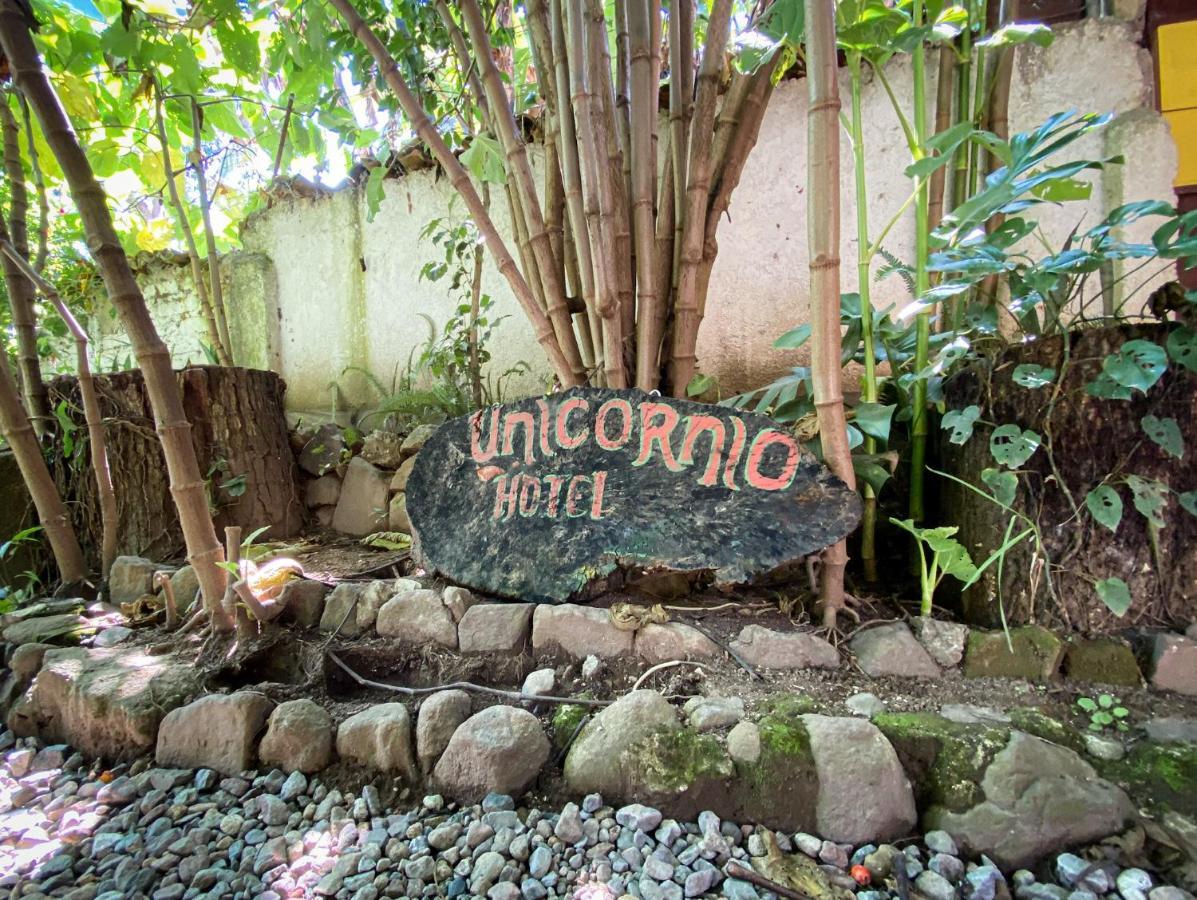 Unicorn Reborn - Peaceful Rentals San Marcos La Laguna Bagian luar foto